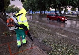 Jerez pedirá ser zona catastrófica tras la borrasca Bernard