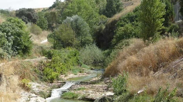 Ruta de los molinos