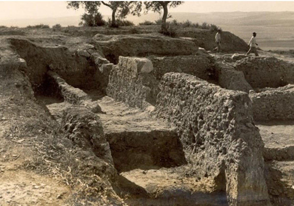 El yacimiento se encuentra en la barriada jerezana de Mesas de Asta