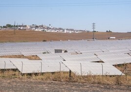La energía fotovoltaica echa raíces en Cádiz