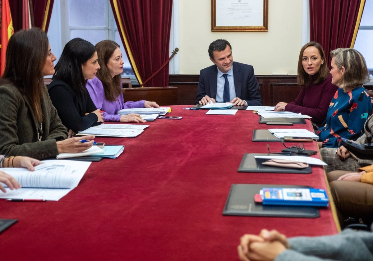 Comisión local de seguimiento contra la violencia de género del Ayuntamiento de Cádiz.