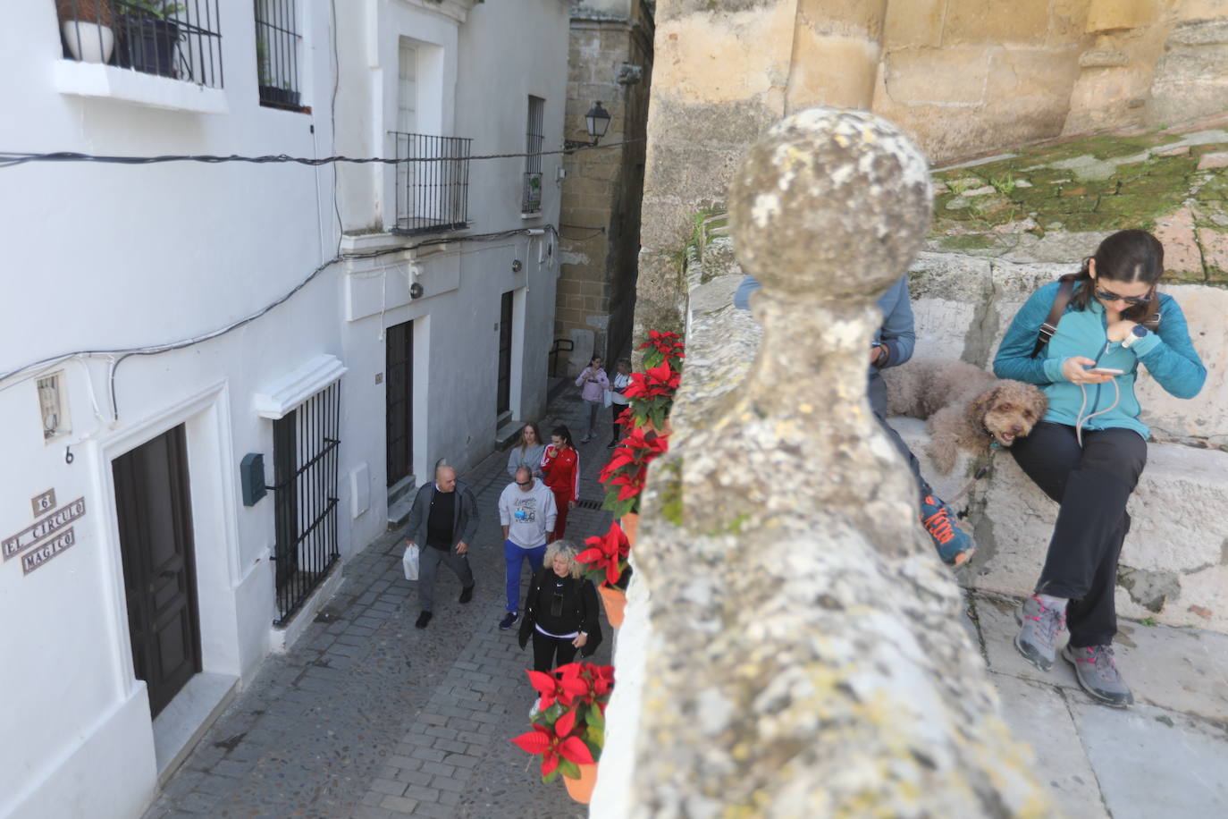 Fotos: Ambiente en la Sierra de Cádiz durante el puente de diciembre