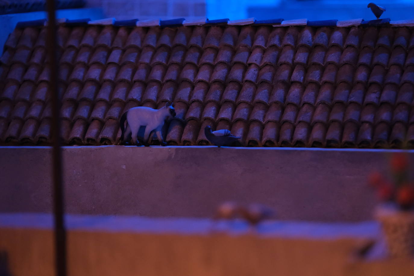 Fotos: Abren al público las visitas del Belén municipal