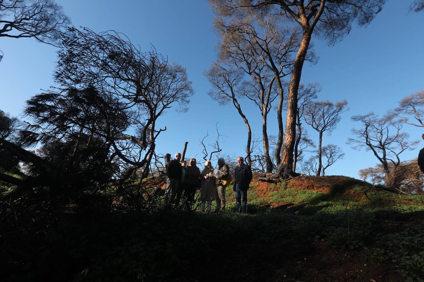 Fotos: Así está Las Canteras, cuatro meses después del fatal incendio del pasado verano