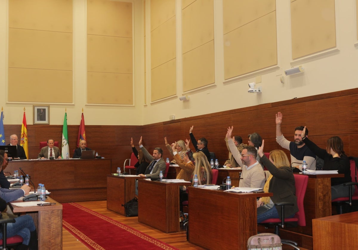 Momento de la votación en el Pleno