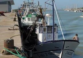 Casi dos millones de euros en ayudas para la paralización de la pesca de arrastre en el Golfo de Cádiz