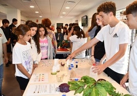 Diputación invertirá 156.000 euros en servicios y apoyo técnico para sus programas de Educación Ambiental