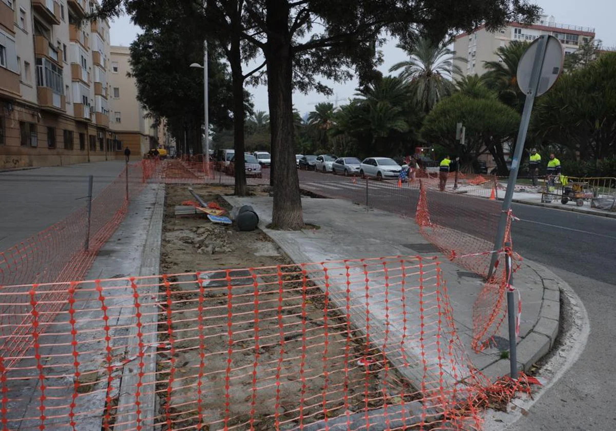 Estado actual de las obras del carril bici en la avenida de la Sanidad Pública
