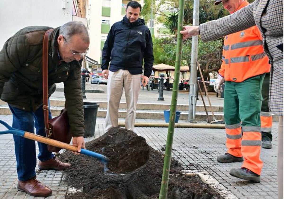 El Ayuntamiento instalará más de 200 árboles en Cádiz