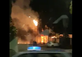 Vídeo: arden dos palmeras junto al apeadero de tren de Valdelagrana, en El Puerto