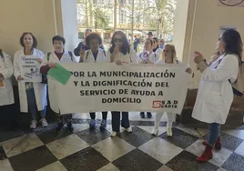 El Ayuntamiento de Cádiz fijará en 20 euros el precio por hora en el nuevo pliego de Ayuda a Domicilio