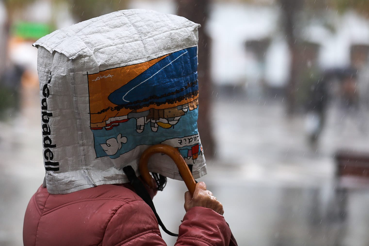 Fotos: La borrasca Karlotta azota con fuerza a Cádiz