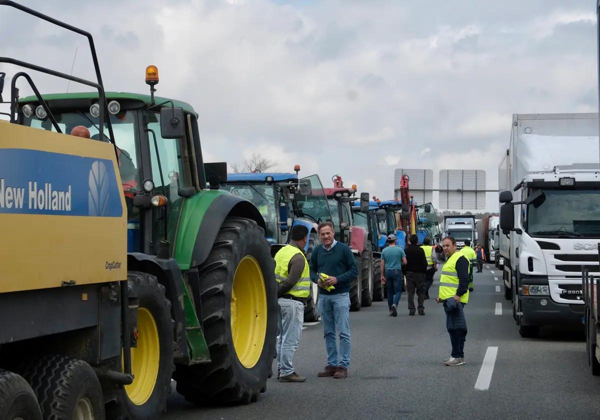 Agricultores y ganaderos, en la protesta del 14 de febrero