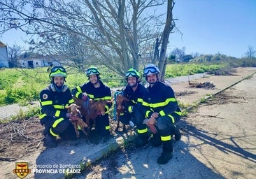 El rescate de un perro que cayó a un pozo permite salvar también a dos cabras y su cría que estaban en el interior