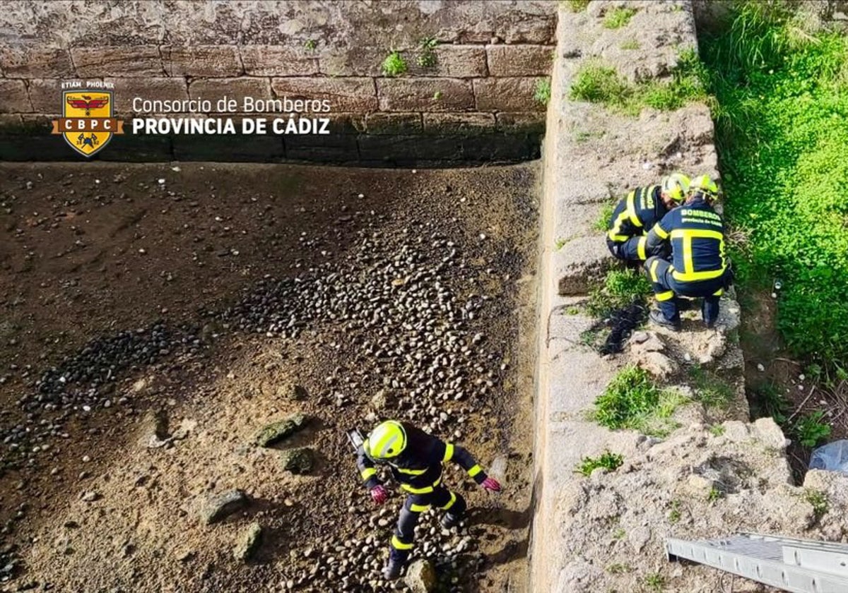 Los bomberos, en las labores de rescate