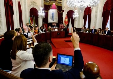 La propuesta para declarar Cádiz como Zona de Especial Singularidad deriva en la disputa política del 'Y tú más'
