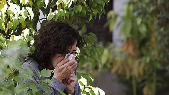La explicación científica al incremento de personas con alergia en Cádiz