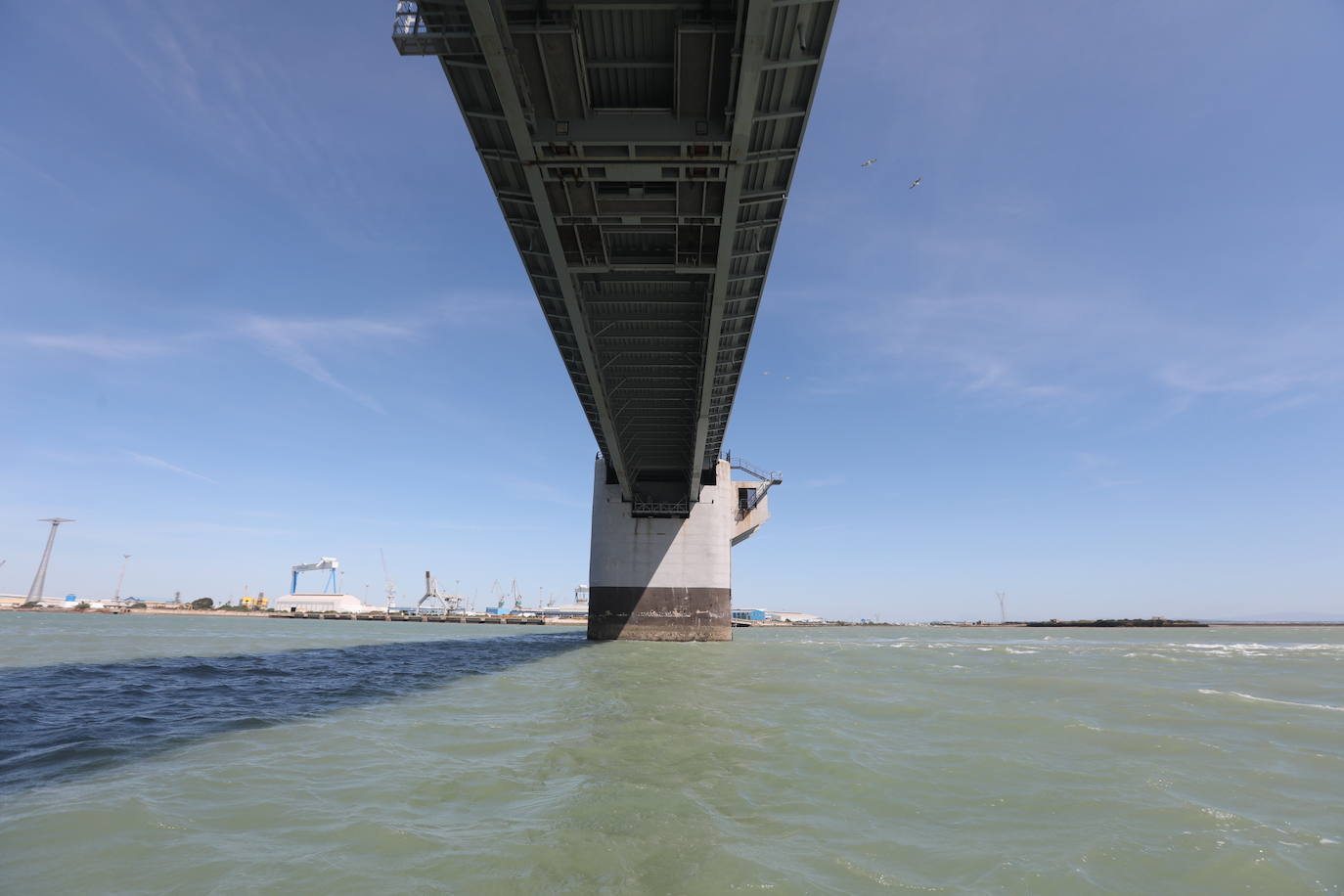 Fotos, debajo del Puente Carranza: así se ve el coloso bajo el mar