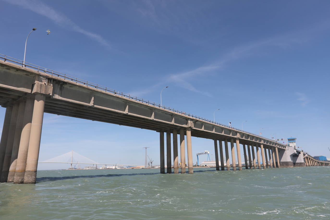 Fotos, debajo del Puente Carranza: así se ve el coloso bajo el mar