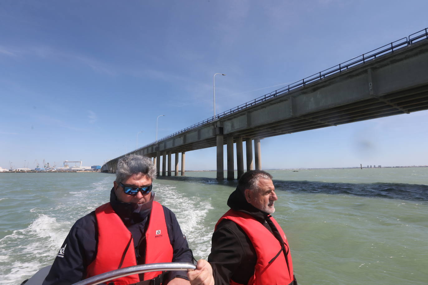 Fotos, debajo del Puente Carranza: así se ve el coloso bajo el mar