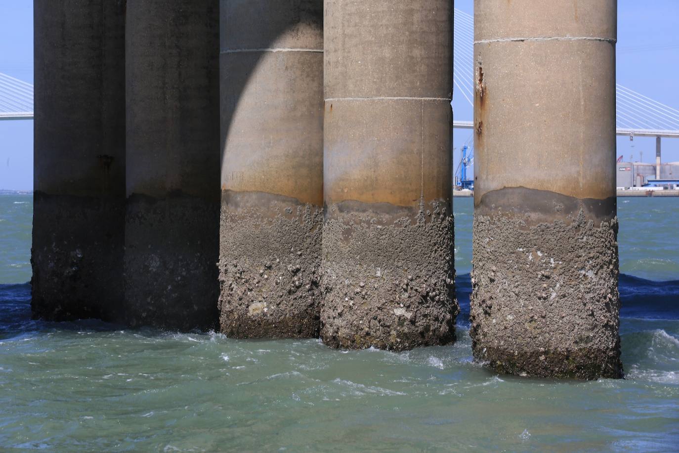 Fotos, debajo del Puente Carranza: así se ve el coloso bajo el mar
