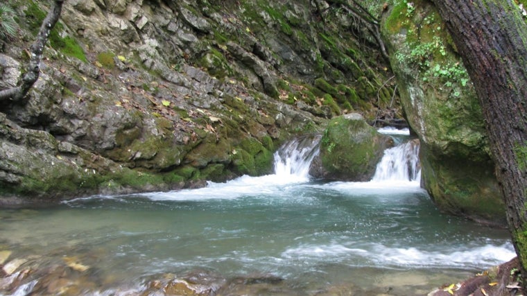 Sendero Río Majaceite.