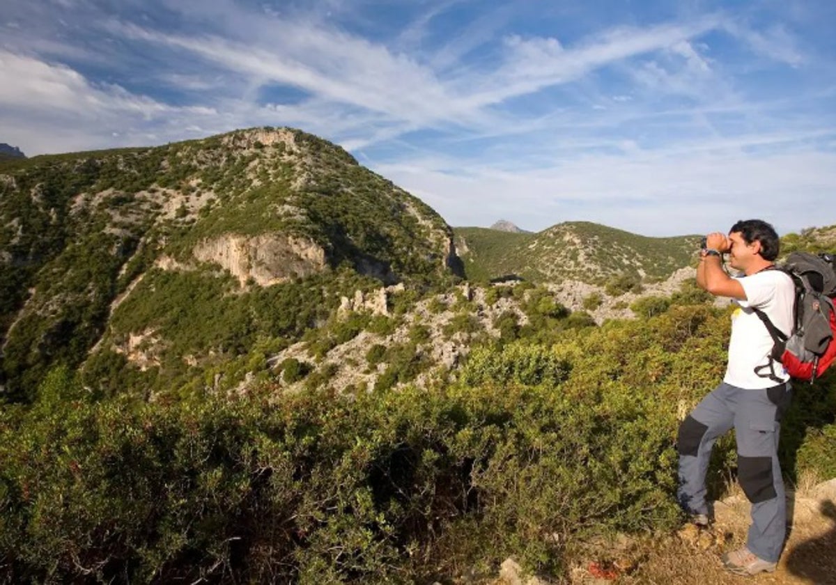 Senderismo en la Sierra de Cádiz: cinco rutas con paisajes increíbles para recibir la primavera.