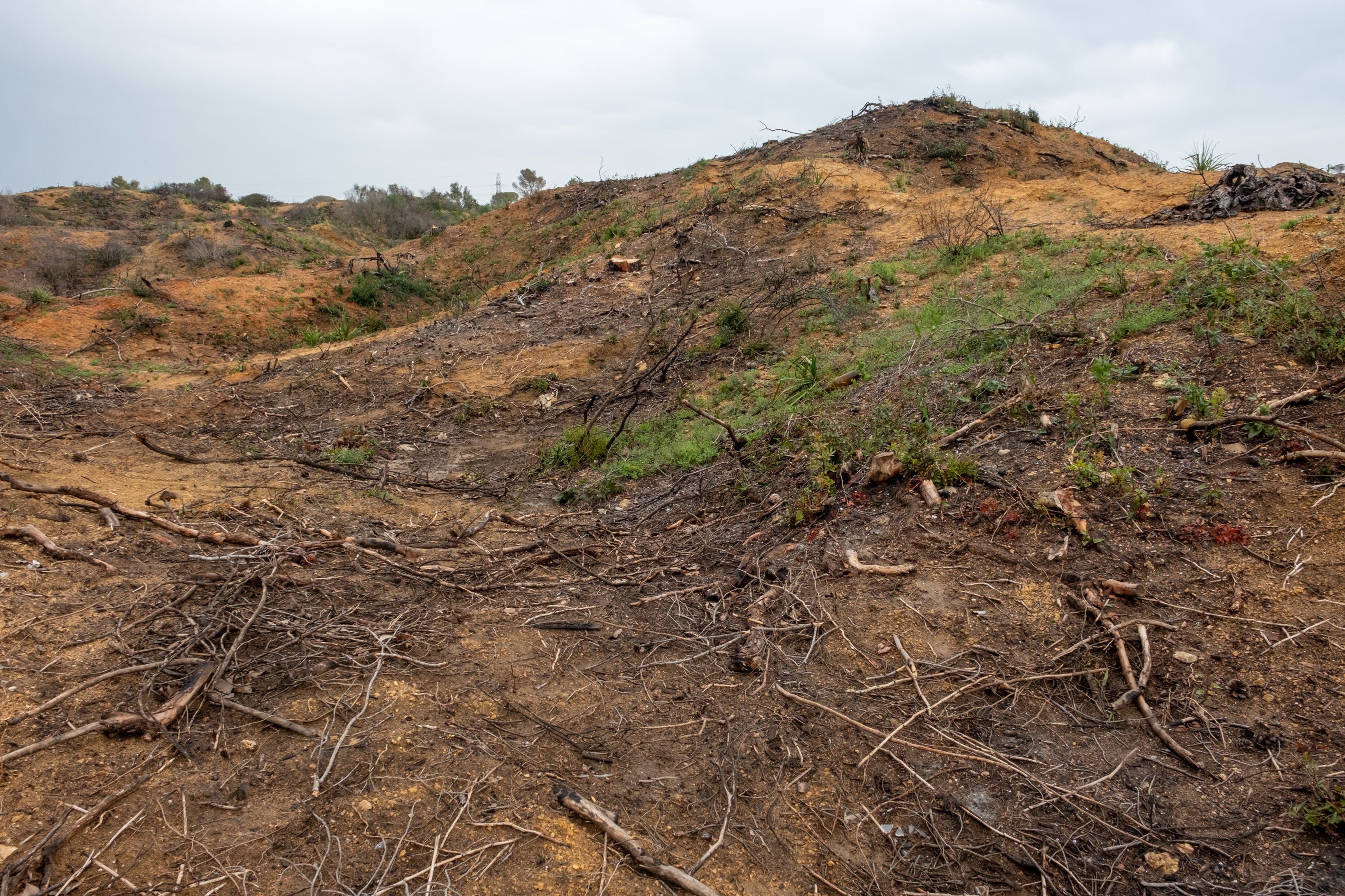 Fotos: Así está Las Canteras siete meses después del incendio