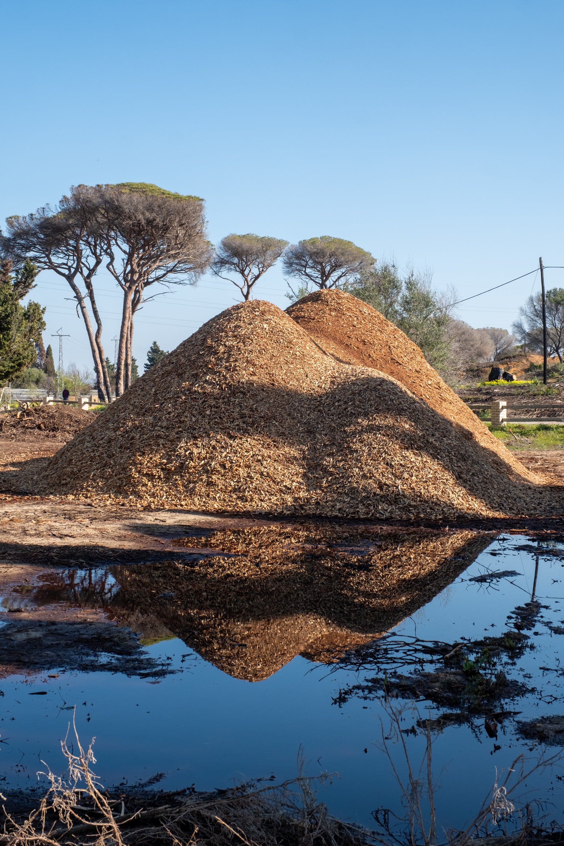 Fotos: Así está Las Canteras siete meses después del incendio