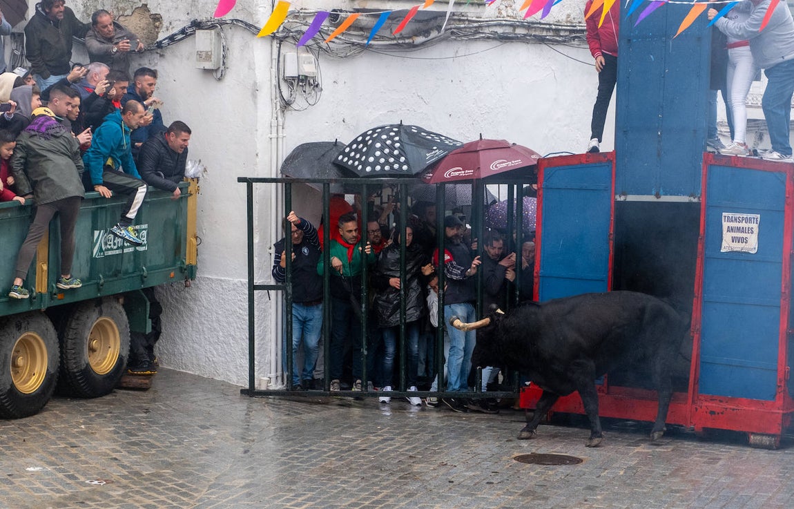 Fotos: Vejer celebra el Toro Embolao