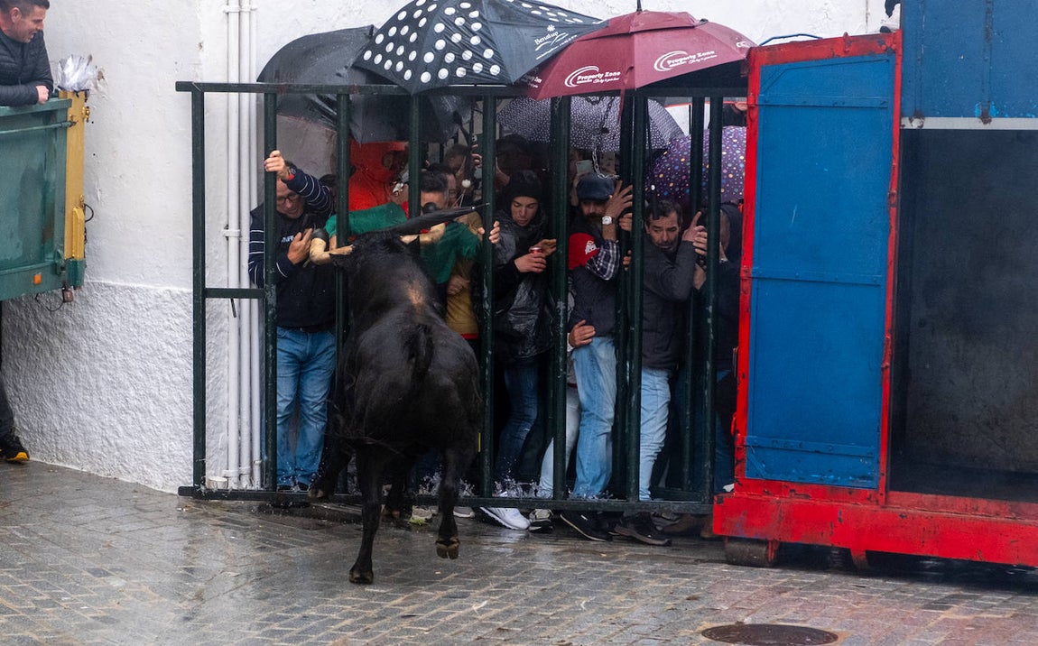Fotos: Vejer celebra el Toro Embolao
