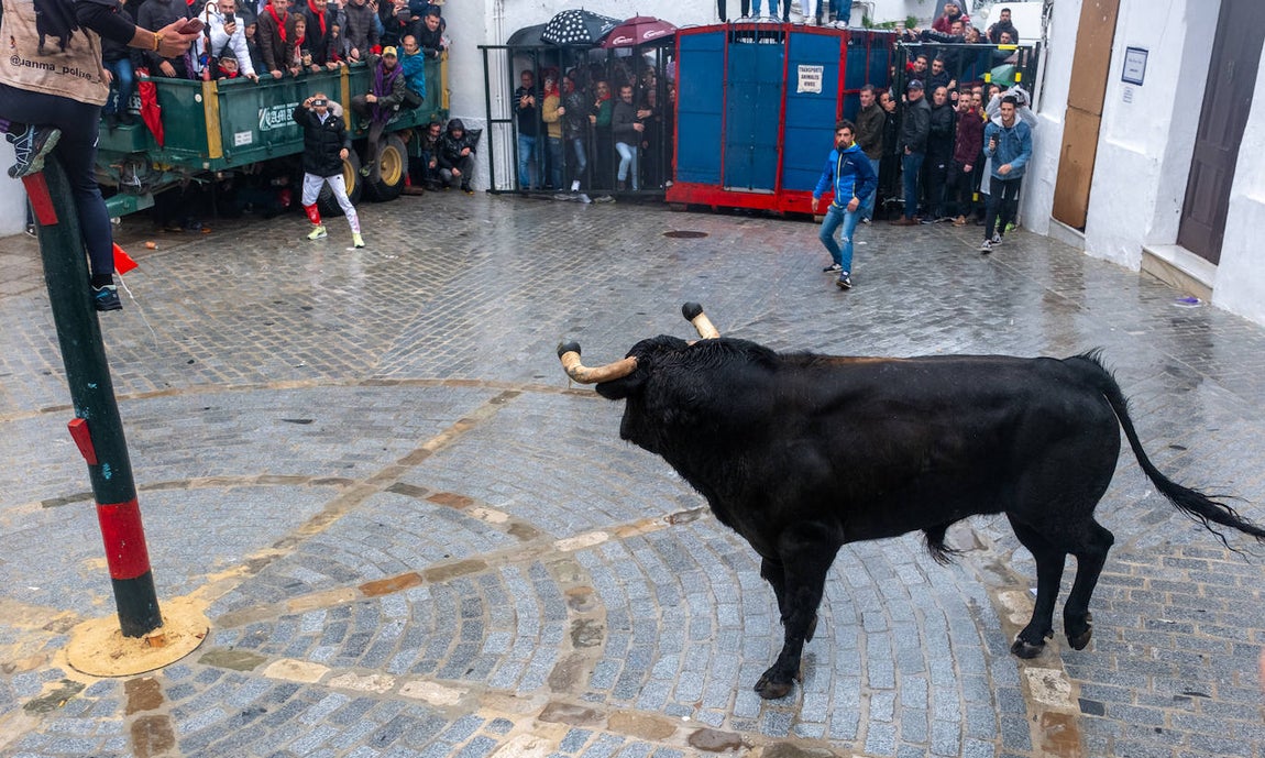 Fotos: Vejer celebra el Toro Embolao