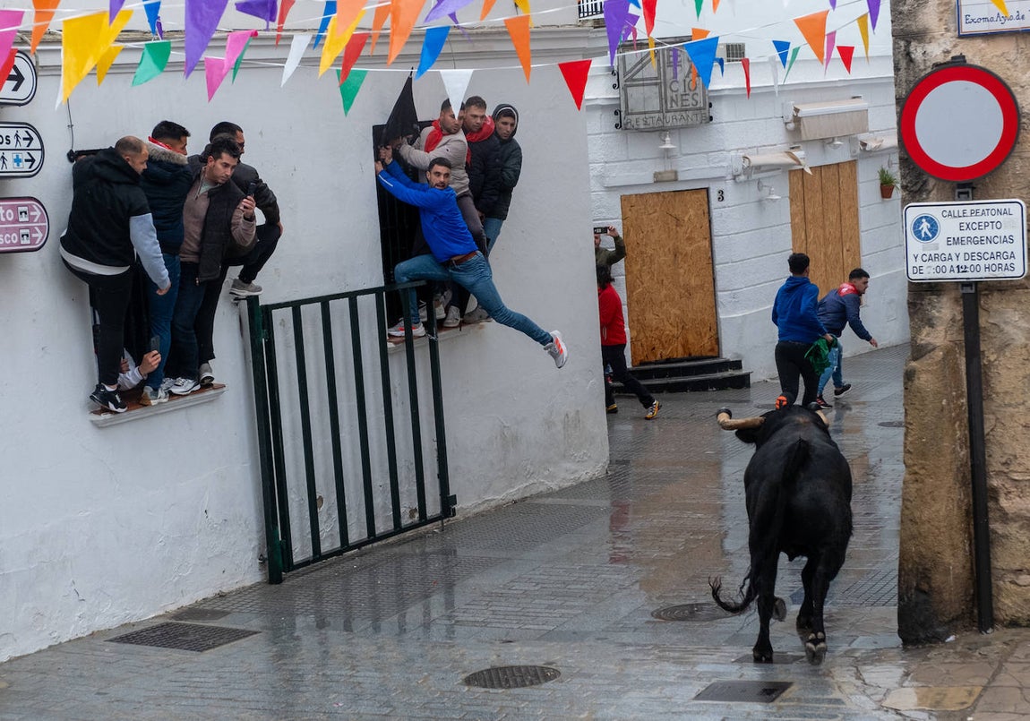 Fotos: Vejer celebra el Toro Embolao