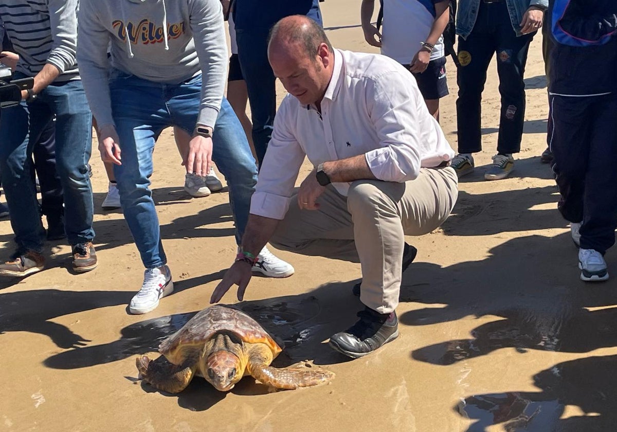 Tortugas en Rota.