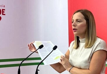 Ana Carrera: «Lo que nos pide la presidenta de la Diputación con la Ciudad de la Justicia es un acto de fe»