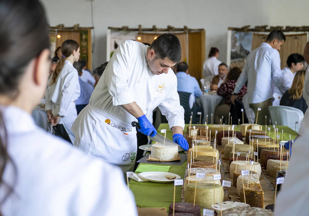 Quesierra 2024: el mejor queso de la Sierra de Cádiz