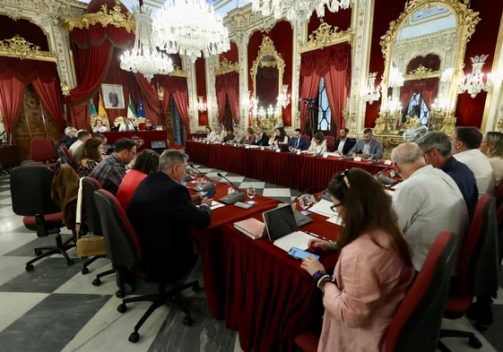 Imagen del Pleno Ordinario del mes de abril en la Diputación de Cádiz.