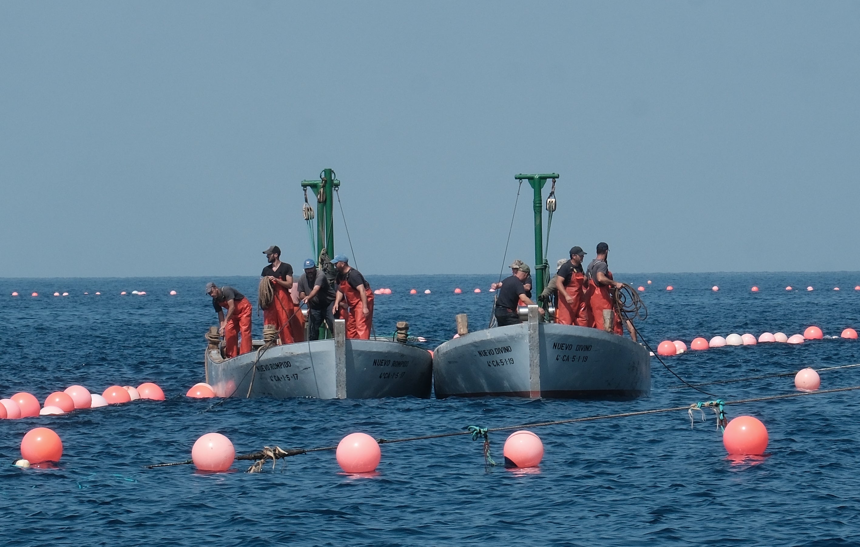 Fotos: Las imágenes de la &#039;levantá&#039; de Petaca Chico en Barbate