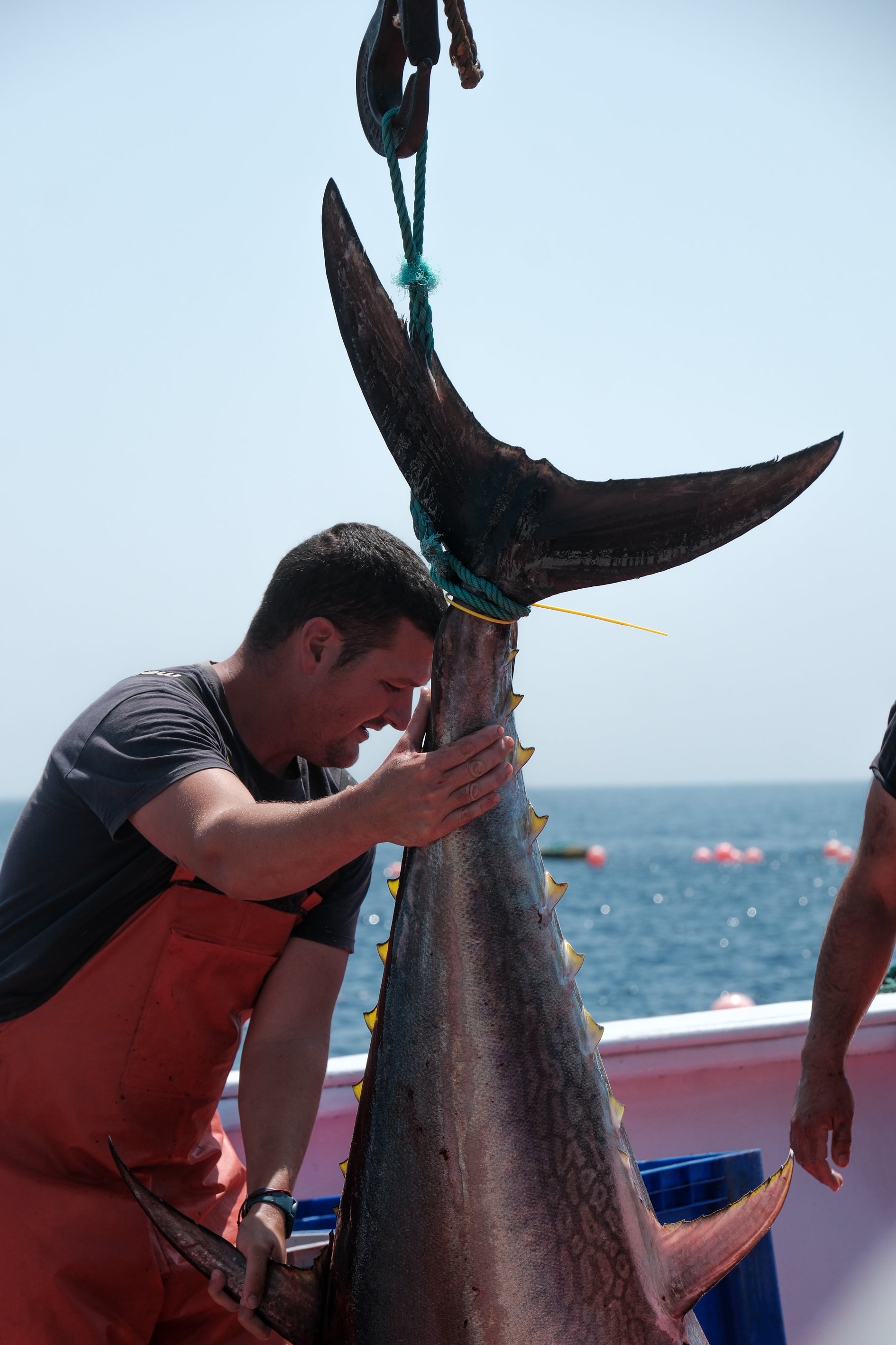 Fotos: Las imágenes de la &#039;levantá&#039; de Petaca Chico en Barbate