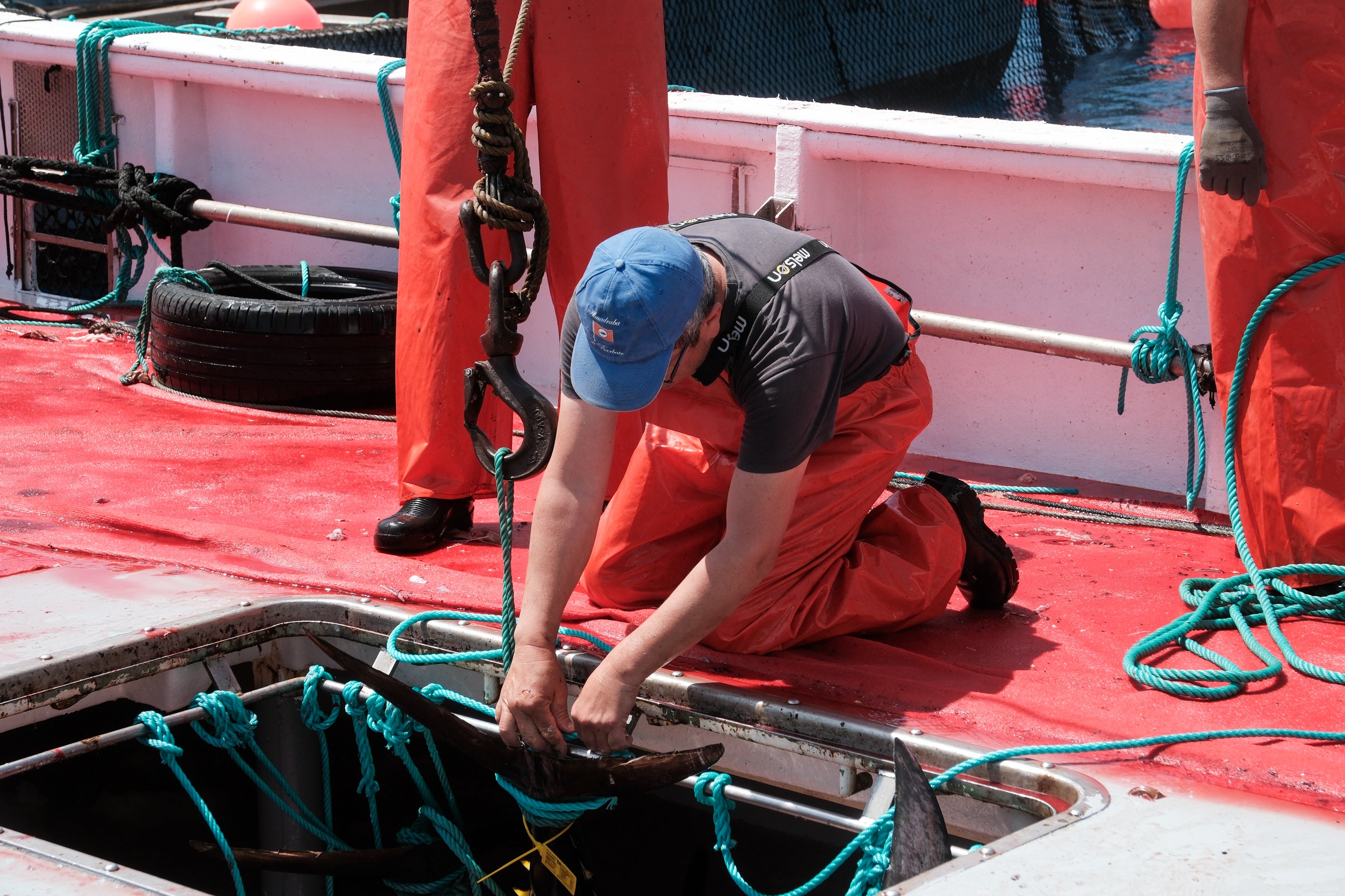 Fotos: Las imágenes de la &#039;levantá&#039; de Petaca Chico en Barbate