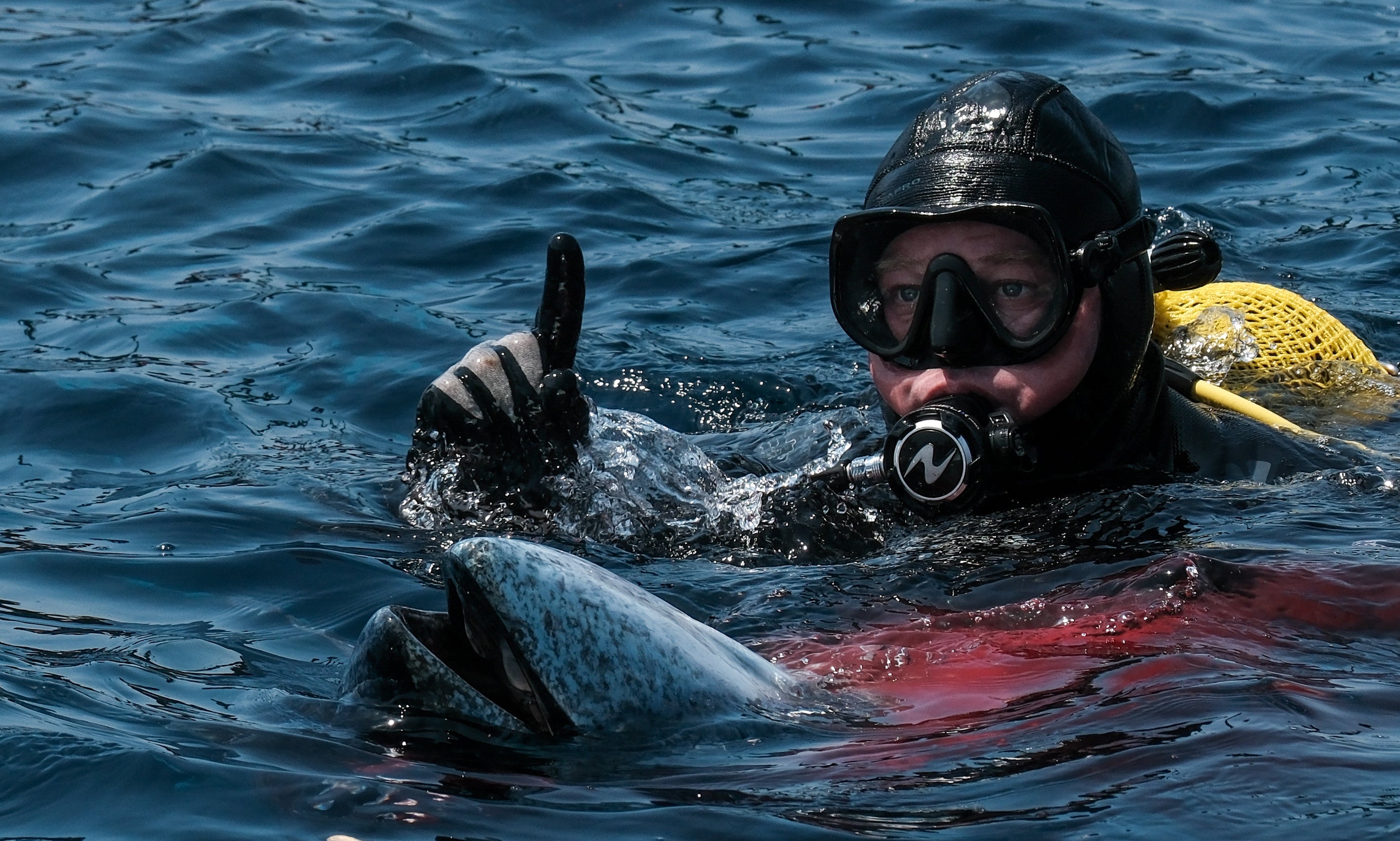 Fotos: Las imágenes de la &#039;levantá&#039; de Petaca Chico en Barbate