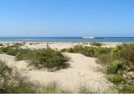 Cómo llegar a esta playa gaditana declarada Monumento Natural por la Junta de Andalucía