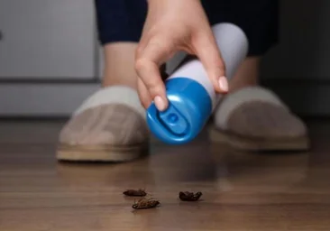 «El verano será complicado»: expertos alertan de la rápida evolución de las cucarachas
