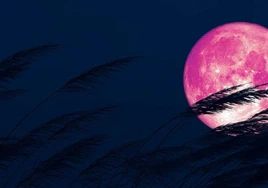 La Luna Rosa, primer gran evento gastronómico de la primavera