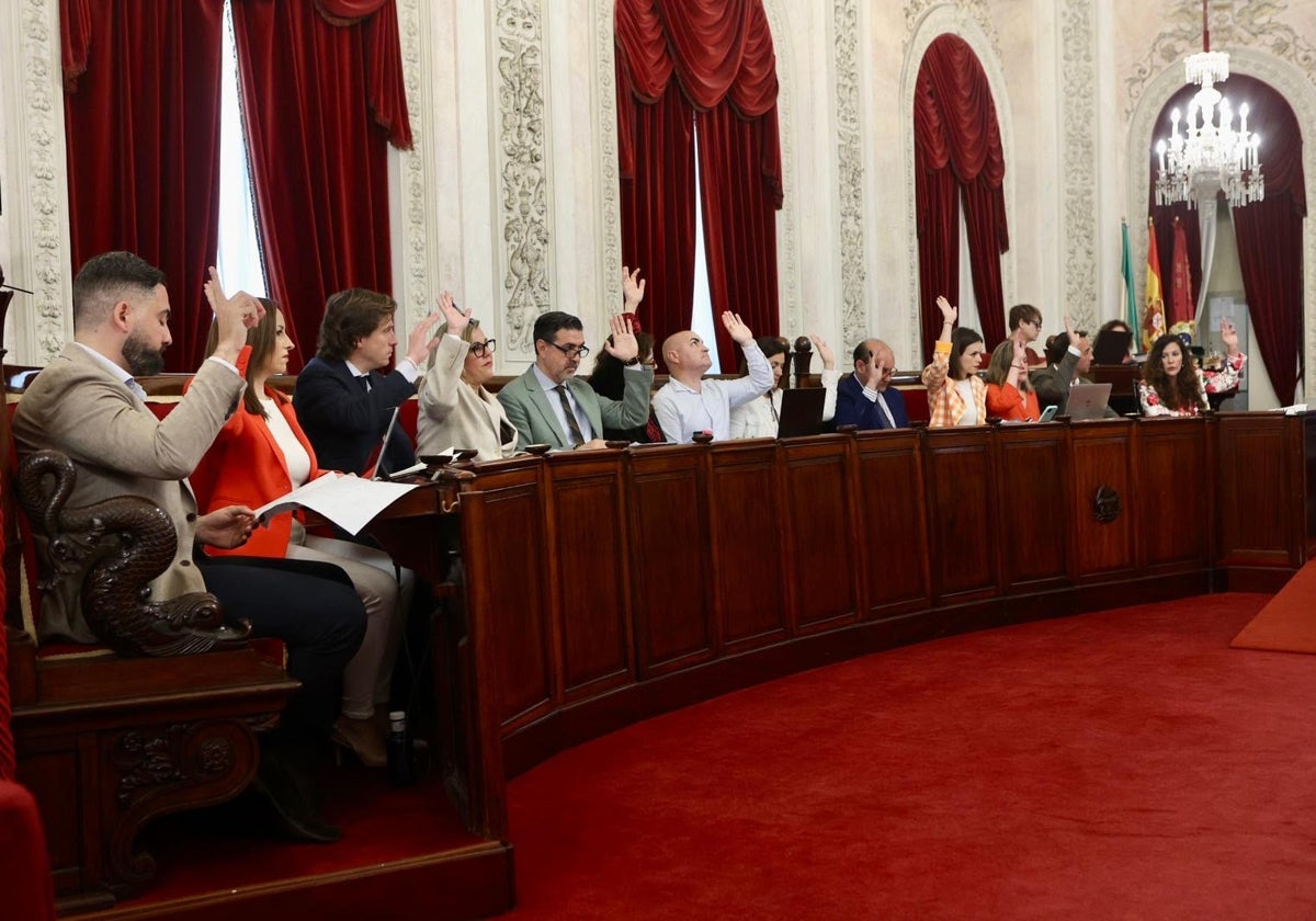 Pleno del Ayuntamiento de Cádiz