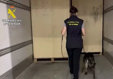 Vídeo: Un perro 'caza' 25 toneladas de hachís en Algeciras, 50 millones de euros de droga en el mercado