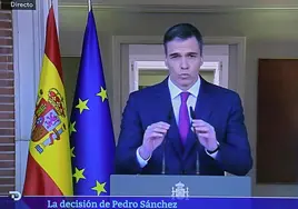 Satisfacción unánime en el PSOE de Cádiz tras conocer que Pedro Sánchez se queda