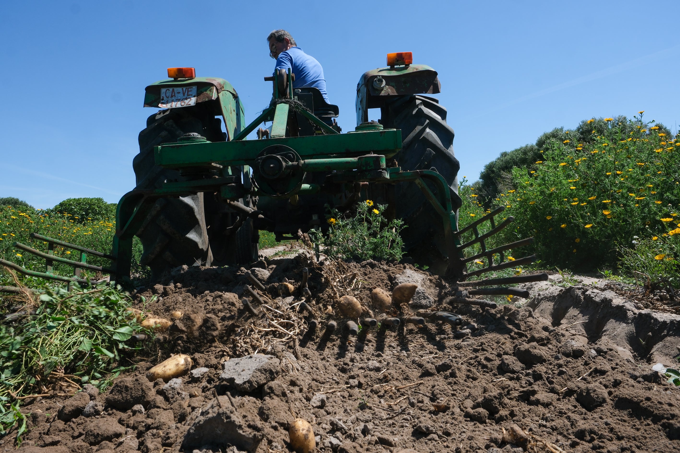 Fotos: Imágenes de una jornada de trabajo junto a los agricultores en El Palmar