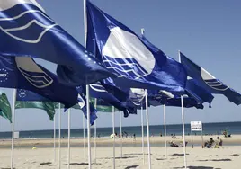 Banderas azules en Cádiz.