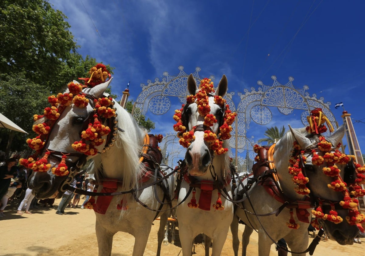 Fotos: Ambiente del jueves de Feria en Jerez